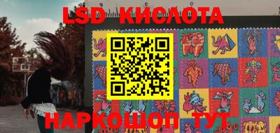 шишки Тверь