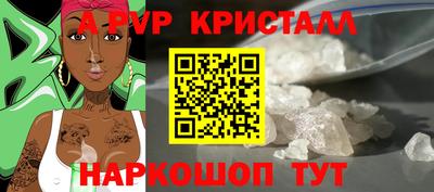 шишки Тверь