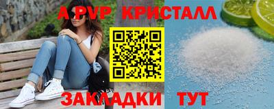 шишки Тверь